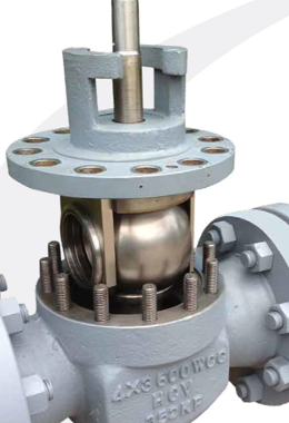 HCV (Hemi cartridge valve)